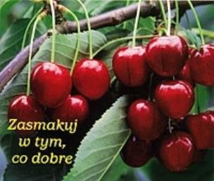 Okładka książki Perełka 099 - Zasmakuj w tym, co dobre