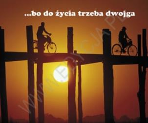 Okładka książki Perełka 101 - ...bo do życia trzeba dwojga.