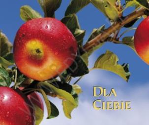 Okładka książki Perełka 120 - Dla Ciebie