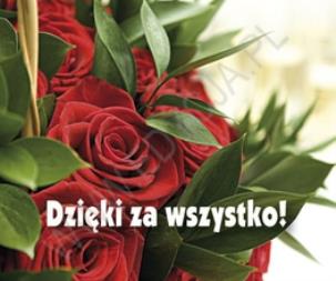 Okładka książki Perełka 191 - Dzięki za wszystko!