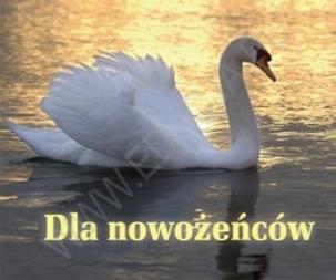 Okładka książki Perełka 198 - Dla nowożeńców.