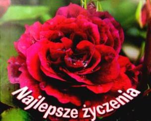 Okładka książki Perełka 200 - Najlepsze życzenia.