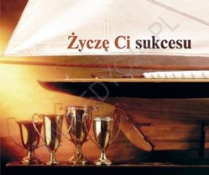 Okładka książki Perełka 217 - Życzę Ci sukcesu.