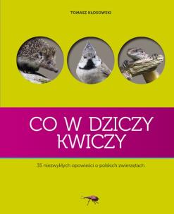 Okładka książki Co w dziczy kwiczy