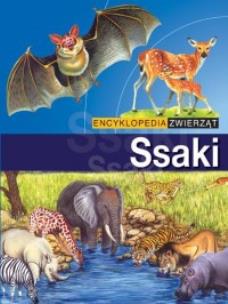 Okładka książki Encyklopedia zwierząt - Ssaki