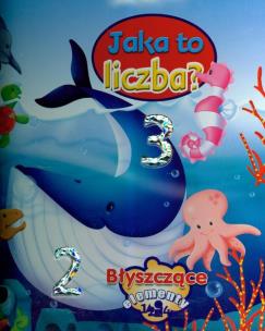 Okładka książki Jaka to liczba Błyszczące elementy