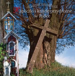 Okładka książki Kapliczki i krzyże przydrożne. Ocalić od zapomn.