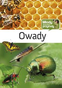 Okładka książki Młody obserwator przyrody - Owady