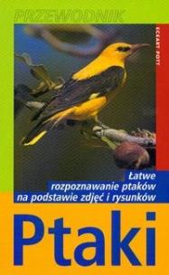 Okładka książki Ptaki - przewodnik