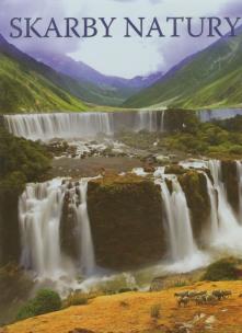 Okładka książki Skarby natury FENIX