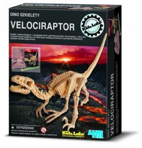 Okładka książki Dino szkielety Velociraptor