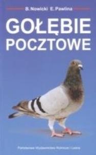 Okładka książki Gołębie pocztowe