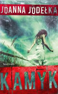 Okładka książki Kamyk