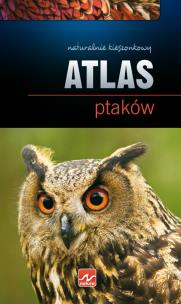 Okładka książki Natura. Atlas ptaków Dragon