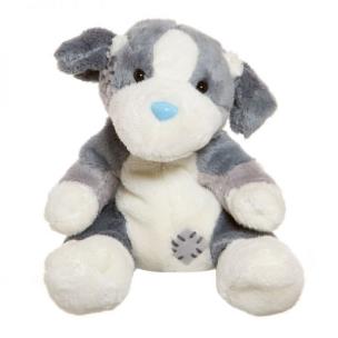 Okładka książki Niebieski nosek - owczarek berneński Alpine