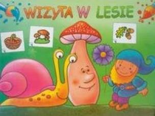 Okładka książki Wizyta w lesie ARYSTOTELES