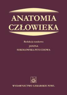 Okładka książki Anatomia człowieka PZWL