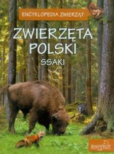 Okładka książki Encyklopedia Zwierząt - Zwierz. Polski Ssaki