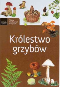 Okładka książki Królestwo grzybów