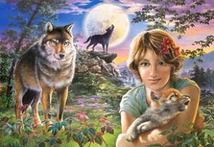 Okładka książki Puzzle 1000 Pełnia księżyca CASTOR