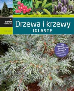 Okładka książki Drzewa i krzewy iglaste