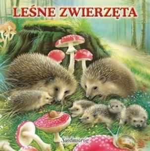 Okładka książki Leśne zwierzęta