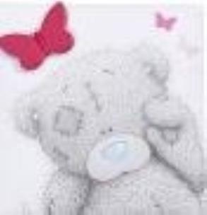 Okładka książki Magnes  Misiu z motylem