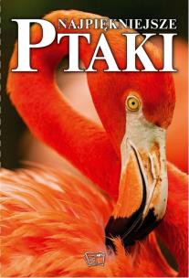Okładka książki Najpiękniejsze ptaki