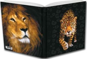 Opakowanie Notes Geepap Dziki Kot