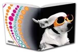 Opakowanie Notes Geepap Szybki pies