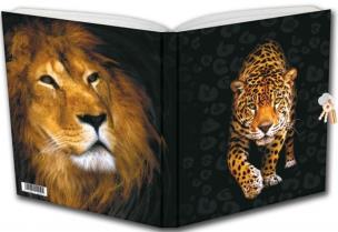 Okładka książki Pamiętnik Dziki Kot