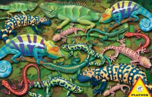 Okładka książki Puzzle 1000 Salamandry