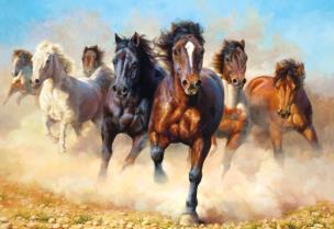 Okładka książki Puzzle 1000 Thunder and Dust  CASTOR