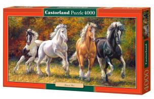 Opakowanie Puzzle 4000 Born to Run CASTOR