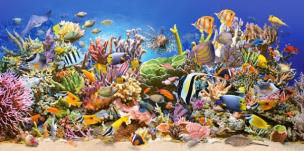 Okładka książki Puzzle 4000 Underwater Life CASTOR