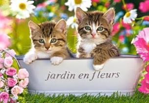 Okładka książki Puzzle 60 Małe kotki CASTOR