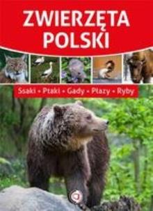Okładka książki Zwierzęta Polski