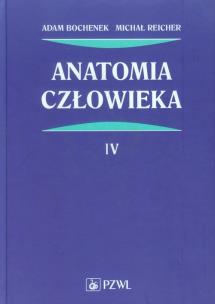 Okładka książki Anatomia człowieka tom 4