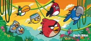 Okładka książki Angry Birds Rio. Puzzle 160 - Lecimy ALEX
