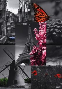 Opakowanie Brulion B5 Top-2000 w kratkę 160 kartek Black&White mix