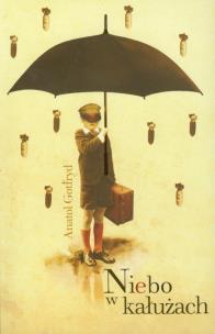 Okładka książki Niebo w kałużach - Anatol Gotfryd