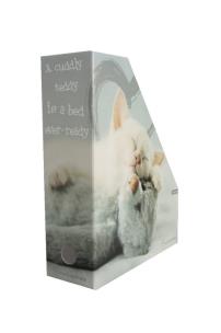 Opakowanie Pudło archiwizacyjne Rachael Hale