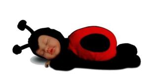 Opakowanie Śpiąca biedronka