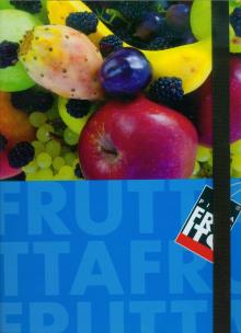 Opakowanie Teczka z gumką B4