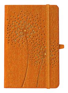 Opakowanie Notes A6 Ivory Dmuchawiec pomanańczowy