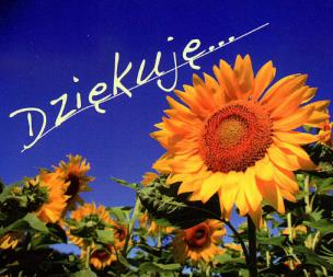 Okładka książki Perełka 023 - Dziękuję....