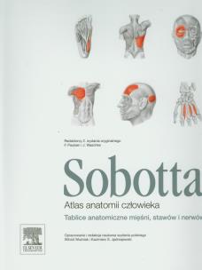 Opakowanie Atlas anatomii człowieka Sobotta