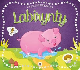 Okładka książki Książeczka przedszkolaka. Labirynty