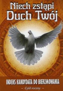 Okładka książki Niech zstąpi Duch Twój cykl roczny