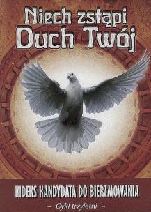 Okładka książki Niech zstąpi Duch Twój cykl trzyletni